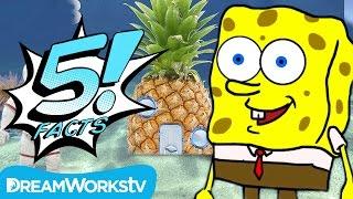 5 Facts About SPONGEBOB That Are F.U.N. | 5 FACTS