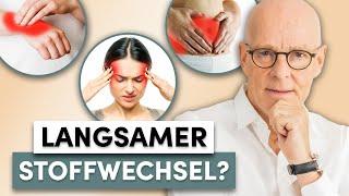 Stoffwechselfalle: Erkennen Sie früh genug diese 6 Anzeichen (wichtig!)