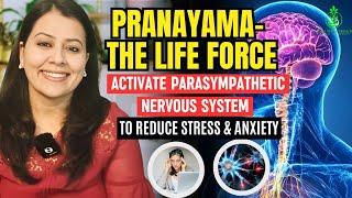 Pranayama to Activate Parasympathetic Nervous System | Reduce Stress & Anxiety