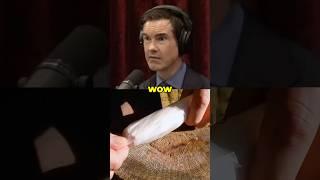 Did We Create AI in God's Image? - Jimmy Carr #aitechnology #aifuture #jre #jreclips