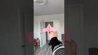 My Plane Flew 72ft and My WiFi Still Doesn’t Reach That Far #diy #airplane #papercraft