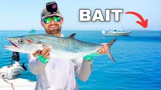 This Spot Was LOADED! Nonstop Offshore Fishing (Kingfish & Snapper)