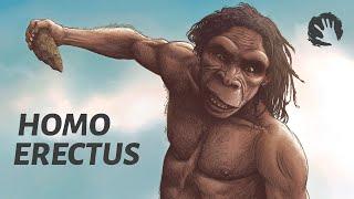 Homo Erectus - The First Humans