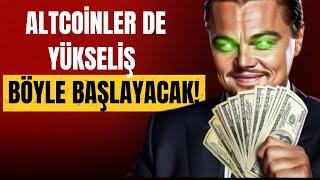 Mega Altcoin Boğası İçin Harika Veriler Var!