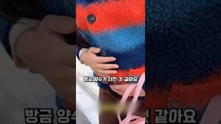 임산부한테 갑질해 회사 앞에서 참교육 당한 최후