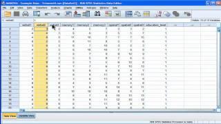 MANOVA - SPSS (part 1)