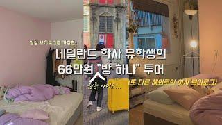 (VLOG) 네덜란드를 뜹시다 & 월세 66만원짜리 “방 하나” 투어 🫠  #이사브이로그 #일상 (ft. 해쭈, 딤섬, 스키폴 공항) | Netherlands vlog