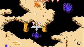 Dragon Spirit - The New Legend - Nes - Full Playthrough - No Hits Run