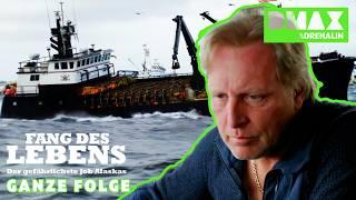 Illegale Fischerei | Fang des Lebens | Ganze Folge | DMAX Adrenalin