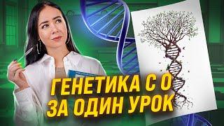 Генетика с нуля | Биология ЕГЭ