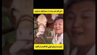 آخرین نصیحت #رای_بی_رای