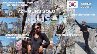 72Hours Solo In Busan  Haeundae Beach, Jungkooks Hometown, Dalmaji Cherry Blossoms  Korea Vlog-2