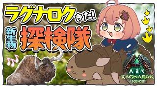 ꒰ ASA:RAGNAROK ꒱ 　ラグナロクきたー 新生物見たいまったり探検隊　˹ 本間ひまわり にじさんじ ˼