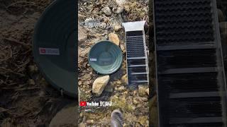 양동이 하나에 담긴 사금 #사금 #사금채취 #goldpanning