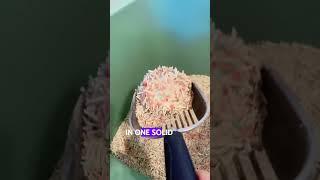Check Michu tofu litter clumping performance! #cat #michu #michutofulitter #catlover #catproducts