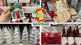 MEGA RECORRIDO NAVIDEÑO WALDO´S 2024