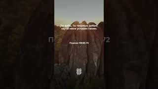 Псалом 118:65-72 в современном переводе #библия #biblevision