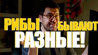 ДЕРМОВЫЕ РИБЫ! Как выбрать лодку риб чтоб не утонуть. Вся правда о рыбах !