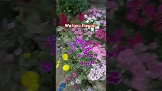 We love flowers #ytshorts #loveflowers