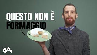 Si può vivere felici senza mangiare formaggi? 44 persone vegane rispondono.