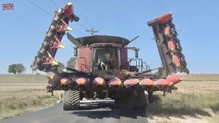 CASE IH CHROME EDTION 9250 Combine Harvesting Corn