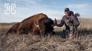 Spot-and-Stalk Bison in Nebraska | Mark V. Peterson Hunting