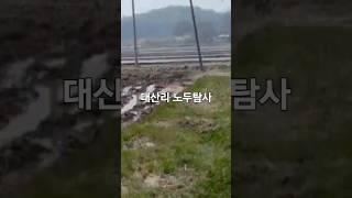 송해면 대산리 ️ 937~6809 #한일상사 사전수맥탐사