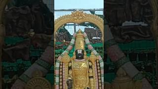 Tirumala Tirupati Brahmotsavam Day 2 ️