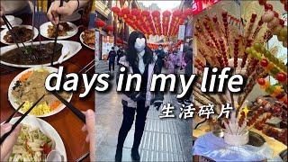 International Students in China｜Spring Festival in Tianjin｜uni dinner｜和校领导吃年夜饭｜第一次在北方过年｜中国天津vlog