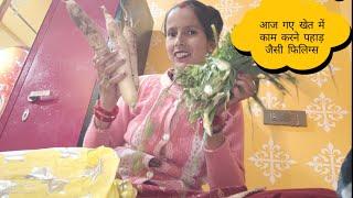 आज गए खेत में काम करने पहाड़ जैसे फिलिंग्स Anita bagiyal vlogs uttrakhand