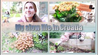 VLOG:TURNING MY LIFE AROUND AT THE AGE OF 43  SLOW LIVING IN CROATIA, GARDENING, BUYING ARTIST EASEL