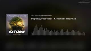 Burgeoning Consciousness : A Journey into Panpsychism