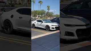 Zl1 she’s looking great in the sun