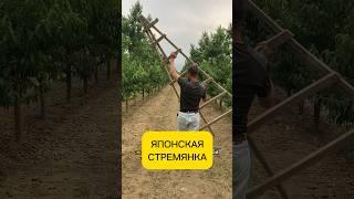 ЛУЧШАЯ САДОВАЯ СТРЕМЯНКА! Идеальна для садовых и домашних работ!