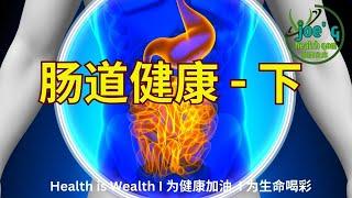 肠道健康 -下 I Joegy Health Gem