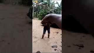 Jalan Trans Papua Barat Menghawatirkan