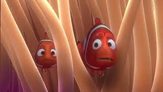 Nemo first day to school (Finding Nemo)