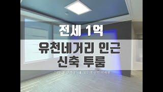 유천네거리 인근 대전 중구 유천동 신축 투룸 전세!! [#34]