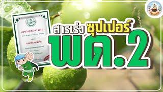 สารเร่งซุปเปอร์ พด.2 ชงน้ำหมักชีวภาพอัดธาตุอาหารคุณภาพเต็มพิกัด