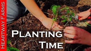 Planting our Garden! | Heartway Farms