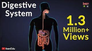 Digestive System | iKen | iKen Edu | iKen App