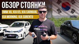 На чем можно сэкономить при покупке авто из Кореи? BMW, KIA. Машины от 1 млн рублей.