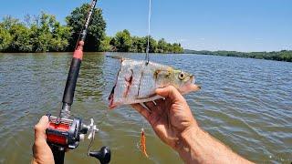 4 Hours of RAW and UNCUT Kayak Catfishing on the Tennessee River