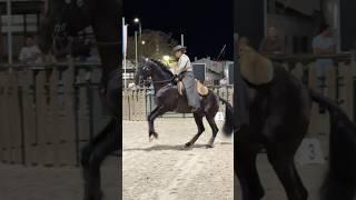 When a woman and a Lusitano create pure art… Margarida & Maextro #horse #workingequitation