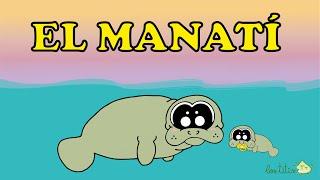 El Manati Información para NIÑOS  (Canción Infantil) 