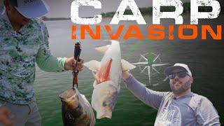 The Asian Carp Invasion - The Missouri River - Green Way Clips