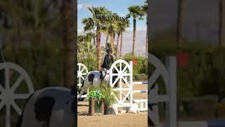 The song is giving ️ vibes #horse #equestrian #eq
