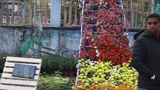 Wild Wadi Flower Park ! Cute Flower !cute Beautiful Craft Flower Vlogs World Beautiful flower garden