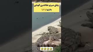 وقتی میری علاالدین گوشی بخری#طنز #funny #cat #فان #باحال #animals #علاالدین #خرید #دختر #موبایل