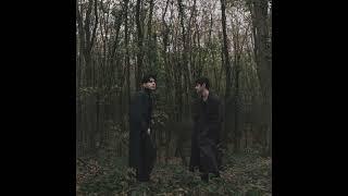 Rauf & Faik - Animal (Official audio)